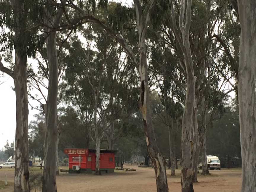 Lions Park - Nanango, Nanango, QLD