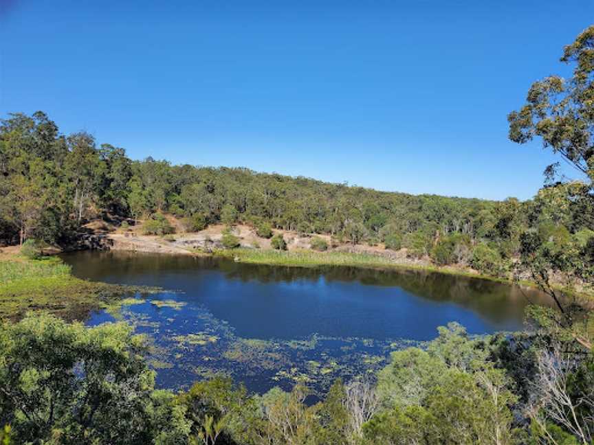 Daisy Hill Conservation Park, Daisy Hill, QLD