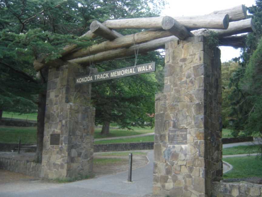 Dandenong Ranges National Park, Upper Ferntree Gully, VIC