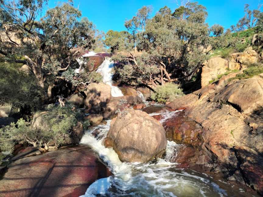 Eagle's View Walk, John Forrest National Park, Darlington, WA