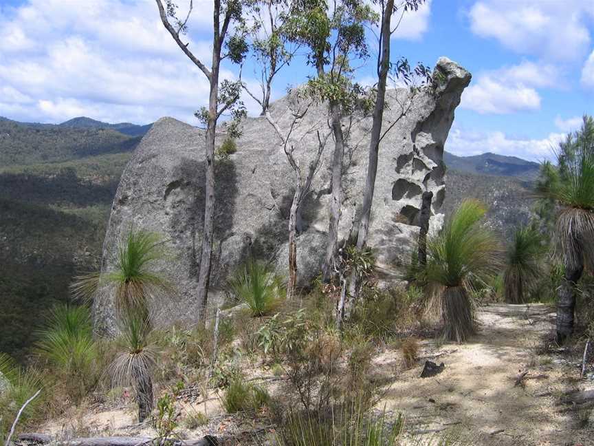 Davies Creek National Park and Dinden National Park, Mareeba, QLD