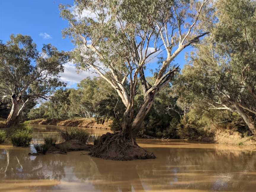 Bulloo River Walk, Quilpie, QLD