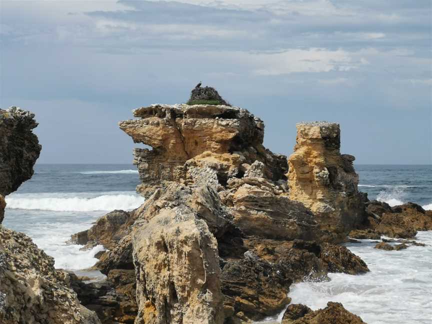 Tadpole Cove Walk - Cape Gantheaume Conservation Park, D'Estrees Bay, SA