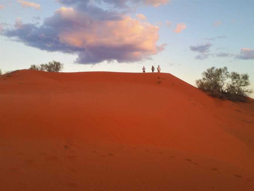 Windorah Sand Hills, Windorah, QLD