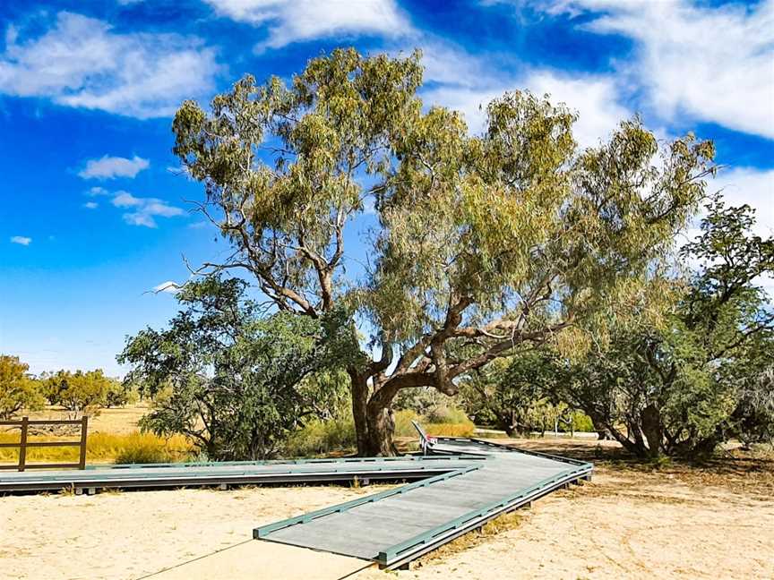 Burke and Wills Dig Tree, Durham, QLD