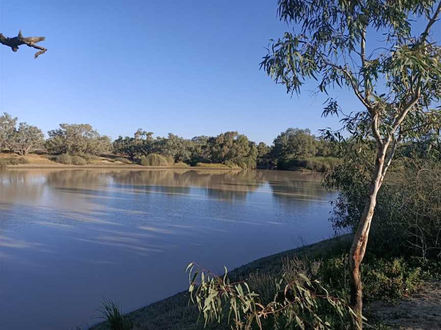 Burke and Wills Dig Tree, Durham, QLD