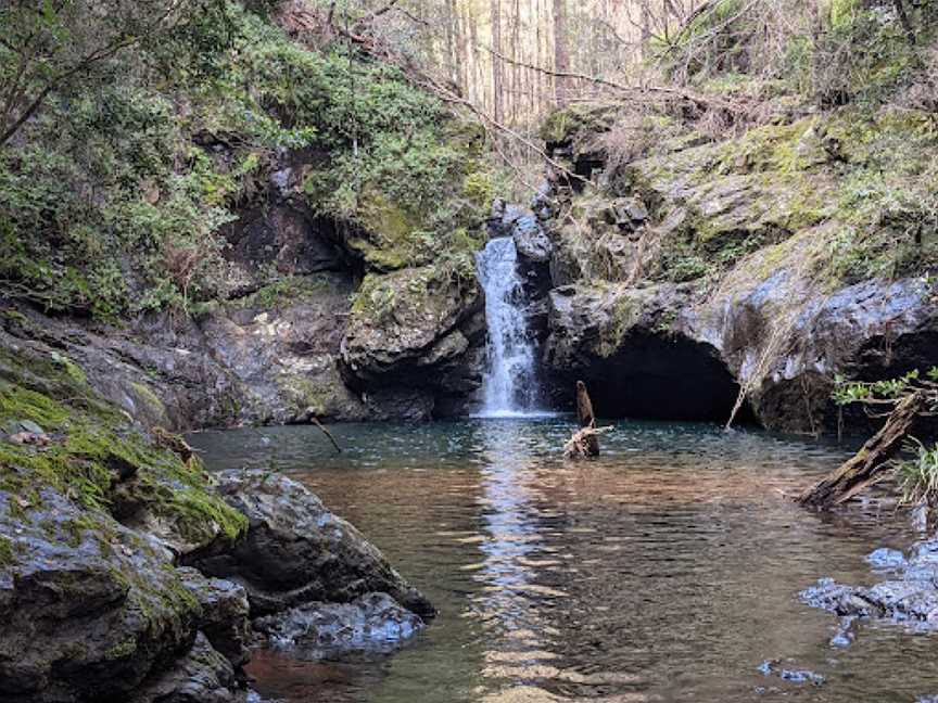 Potoroo Falls picnic area, Dingo Forest, NSW