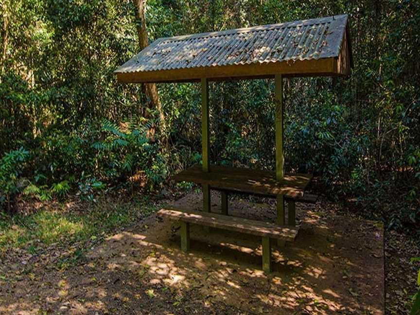 Potoroo Falls picnic area, Dingo Forest, NSW