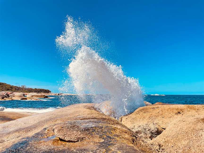 Bicheno Blowhole, Bicheno, TAS