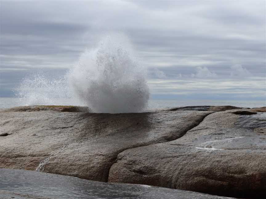 Bicheno Blowhole - East Coast Whale Trail, Bicheno, TAS