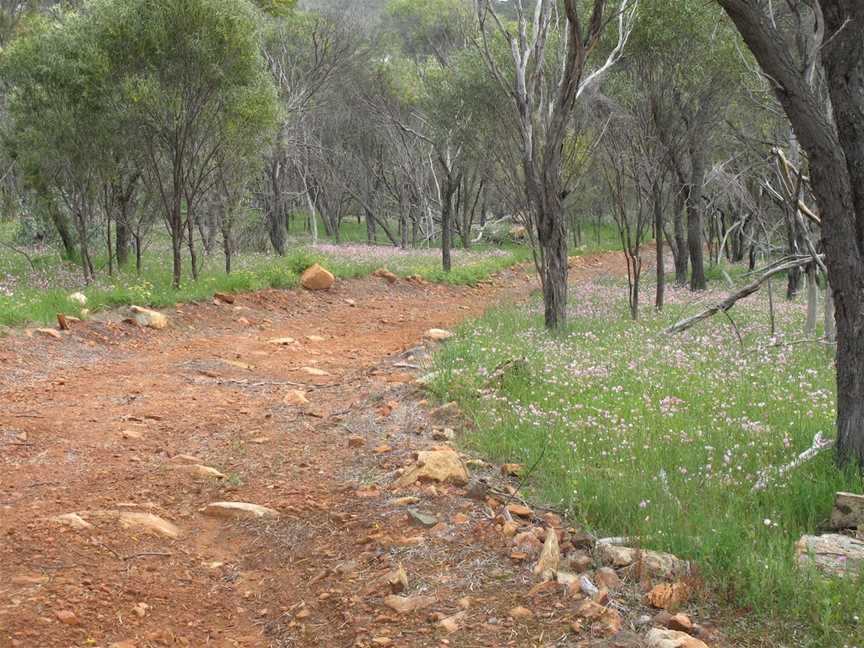 Pelham Reserve, Toodyay, WA