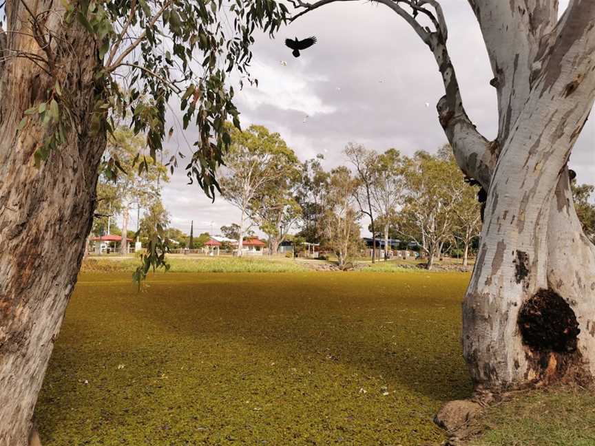 Hoods Lagoon, Clermont, QLD