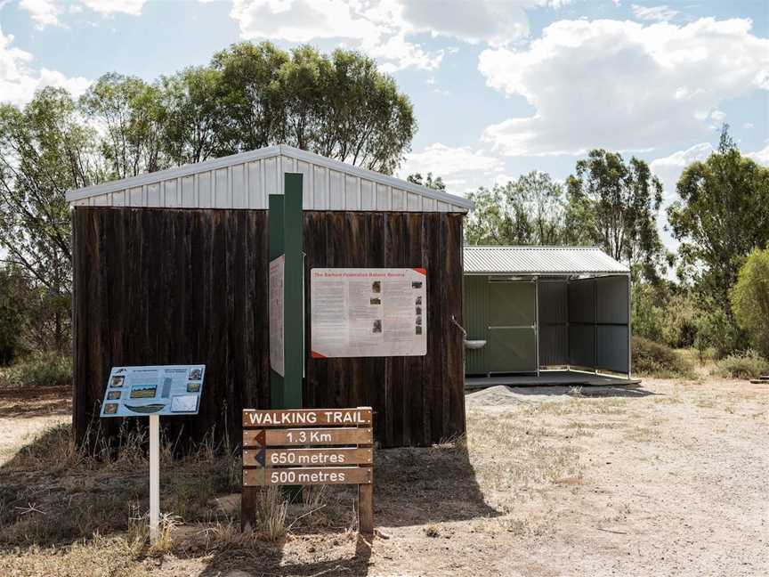 Barham Federation Botanical Reserve, Barham, NSW