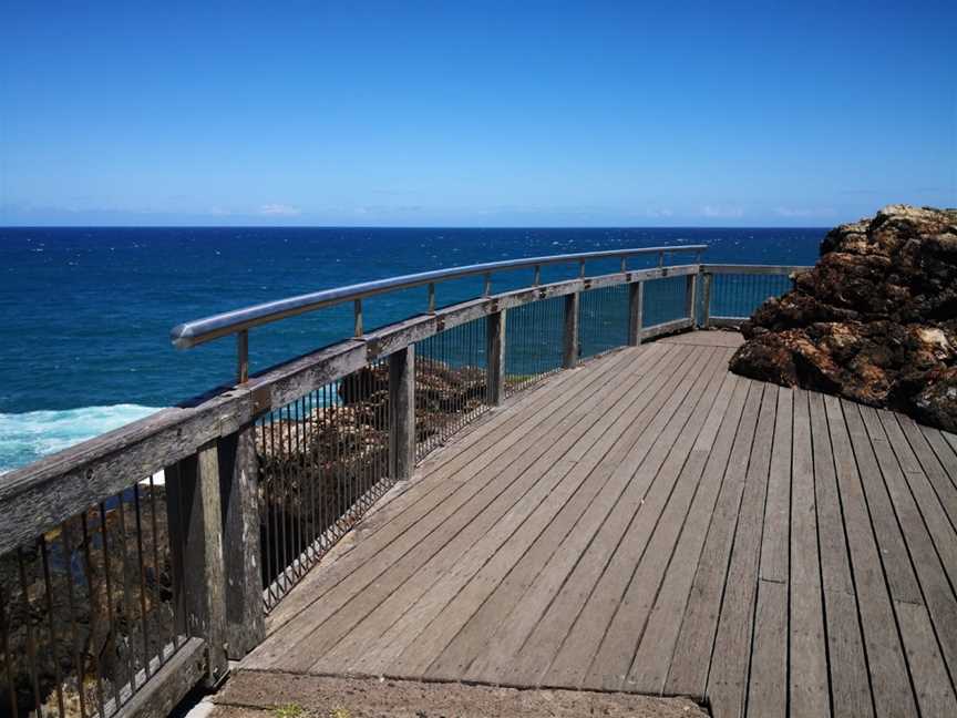 Eastern Side lookout, Coffs Harbour, NSW