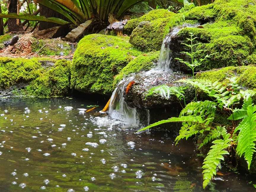 Friends of Geelong Botanic Gardens, Geelong, VIC