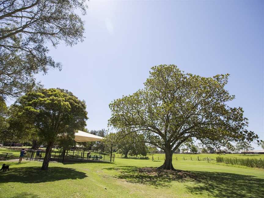 Morpeth Common, Morpeth, NSW