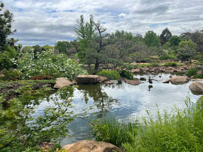 Dubbo Regional Botanic Garden, Dubbo, NSW