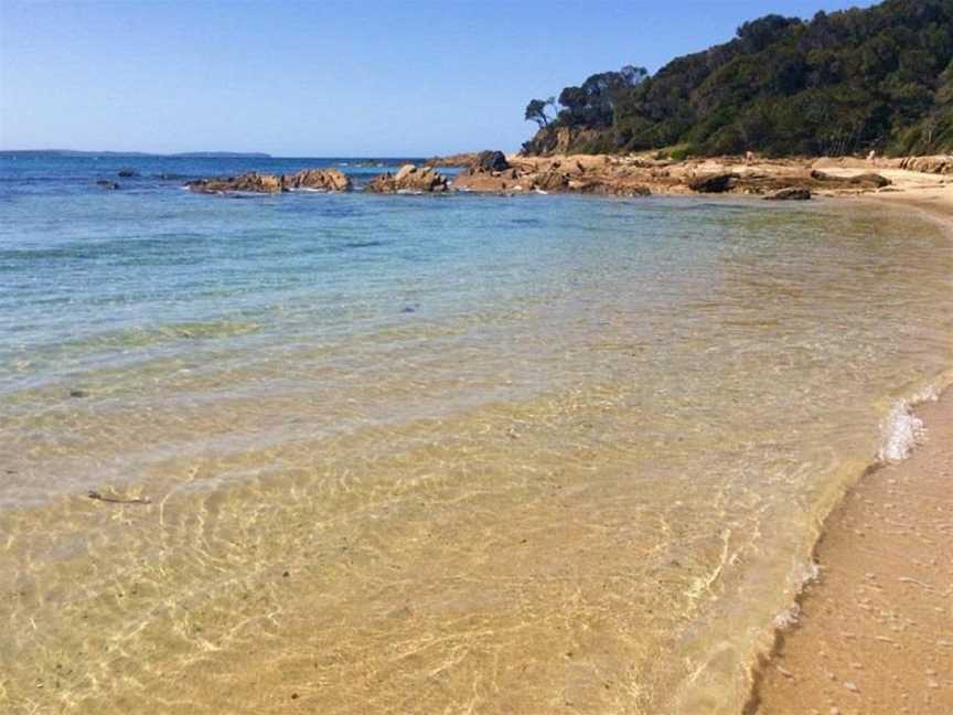 Shelly Beach Picnic Area - Moruya Heads, Moruya Heads, NSW