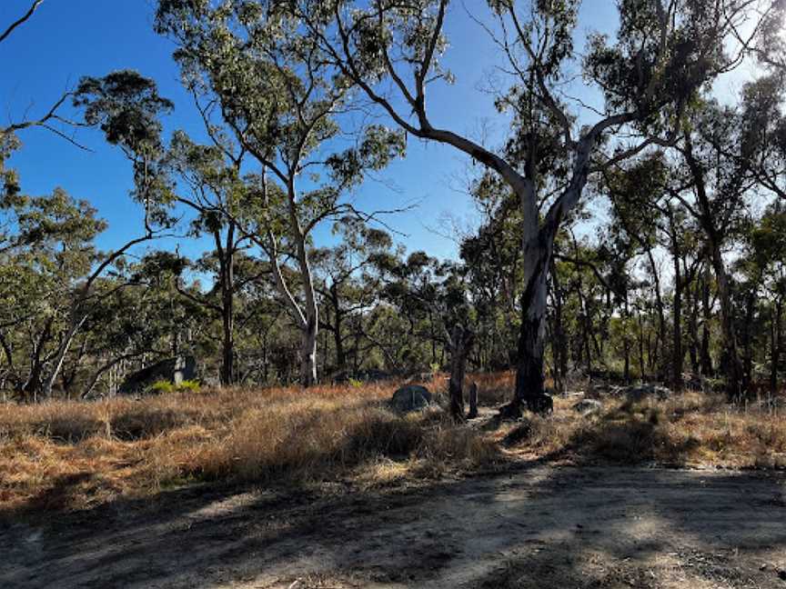 Wooldridge Recreation and Fossicking Reserve, Uralla, NSW