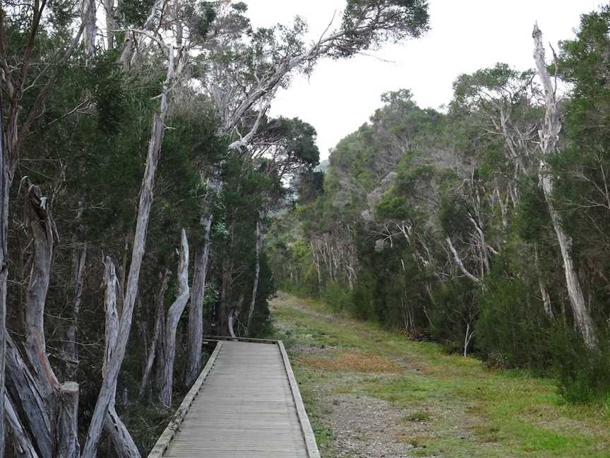 Balcombe Creek Estuary, Mount Martha, VIC