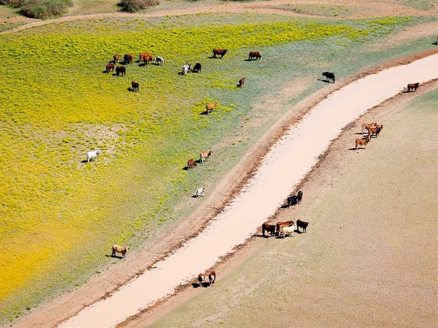 Cuttaburra Crossing, Bedourie, QLD