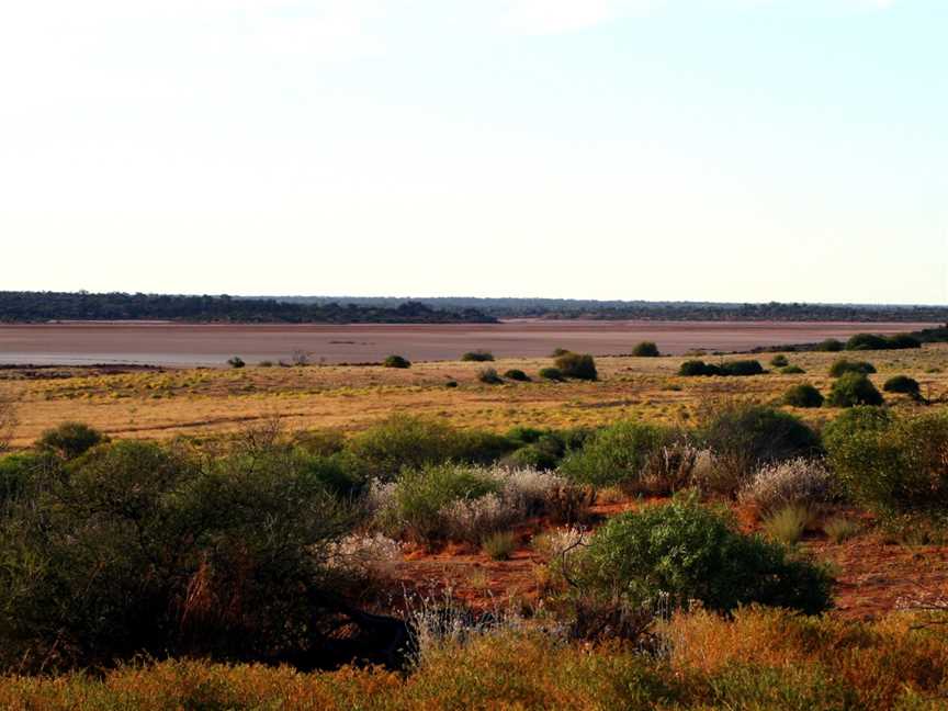 Mamungari Conservation Park, Ceduna, SA