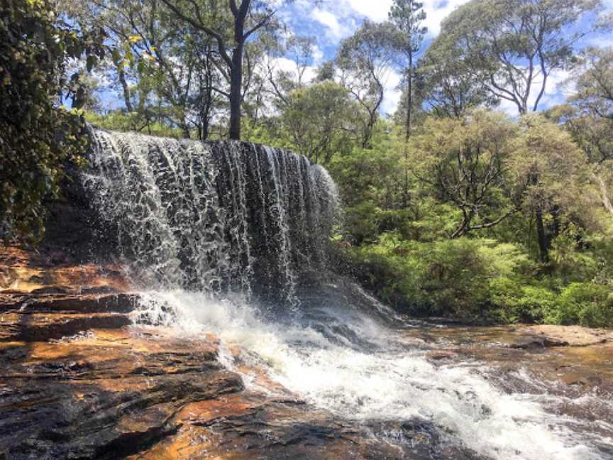 Charles Darwin walk, Wentworth Falls, NSW