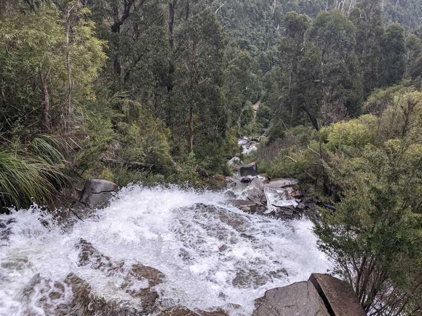 Steavenson Falls, Marysville, VIC