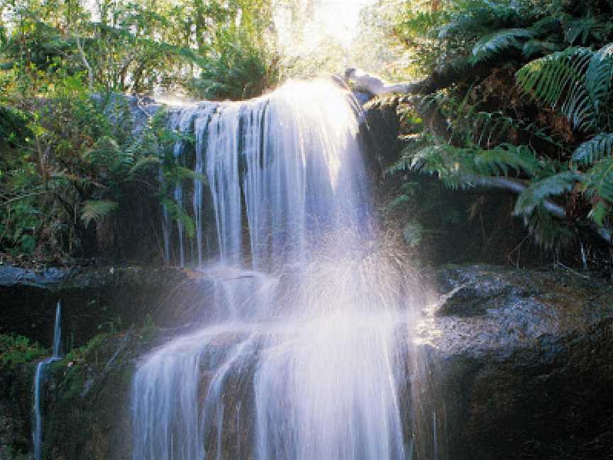 Mount Buangor State Park, Middle Creek, VIC