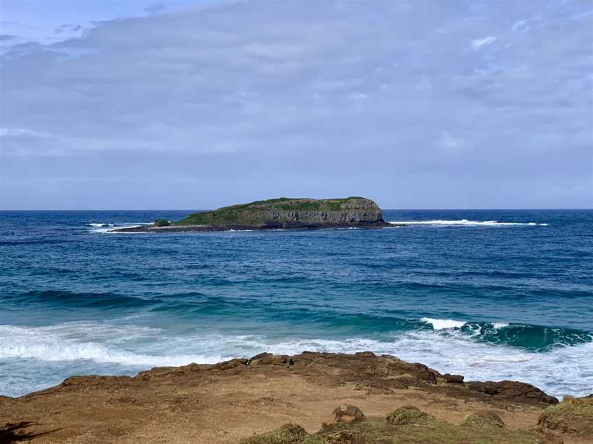 Cook Island Aquatic Reserve, Fingal Head, NSW