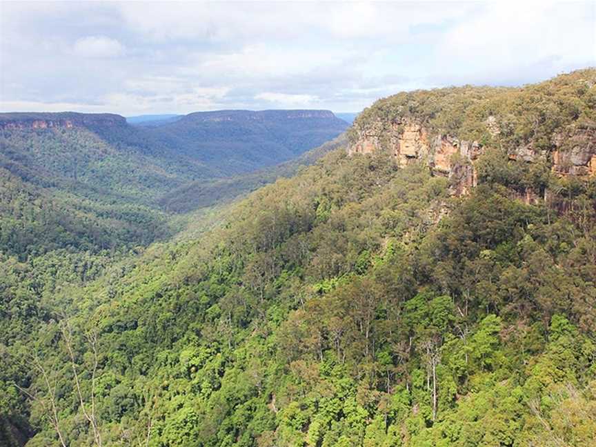 Richardson lookout, Fitzroy Falls, NSW