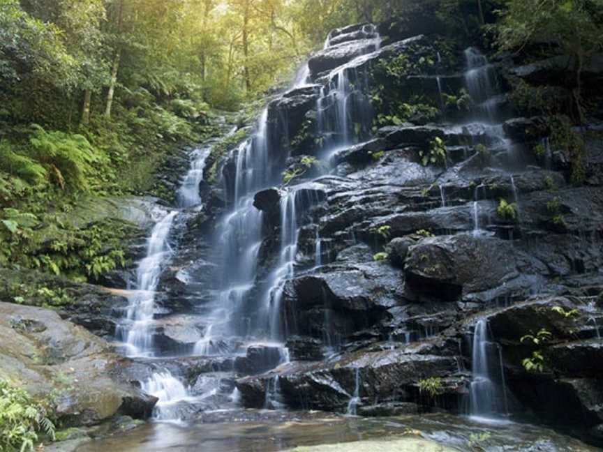 Valley of the Waters, Wentworth Falls, NSW