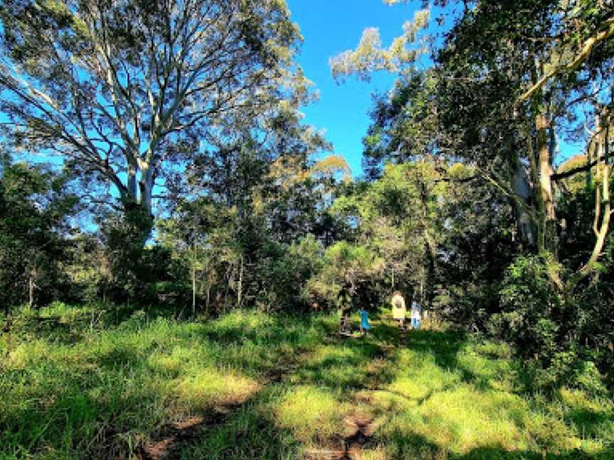 Ringlands Rotary Walk Narooma, Narooma, NSW