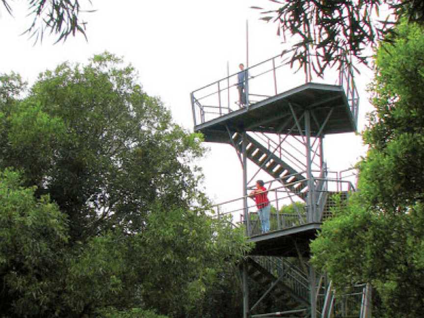 Cape Hawke lookout, Forster, NSW