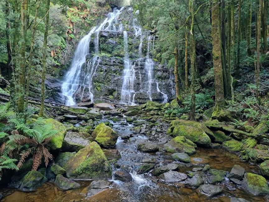 Franklin - Gordon Wild Rivers National Park, Derwent Bridge, TAS