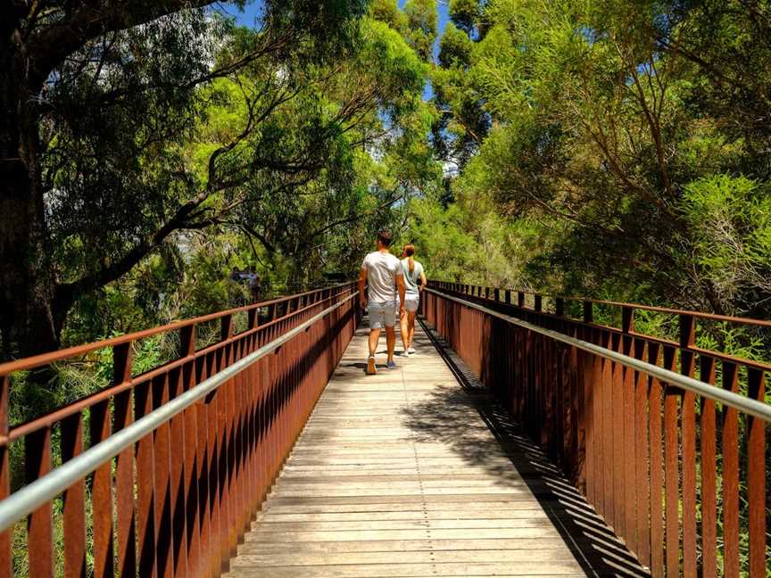 Lotterywest Federation Walkway - Kings Park, West Perth, WA