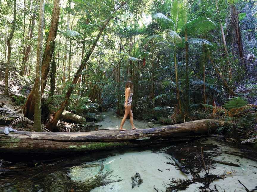 K'gari (Fraser Island), Great Sandy National Park, Fraser Island, QLD