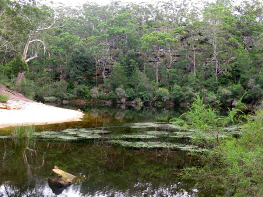 Frere's Crossing Bushwalk, Kentlyn, NSW