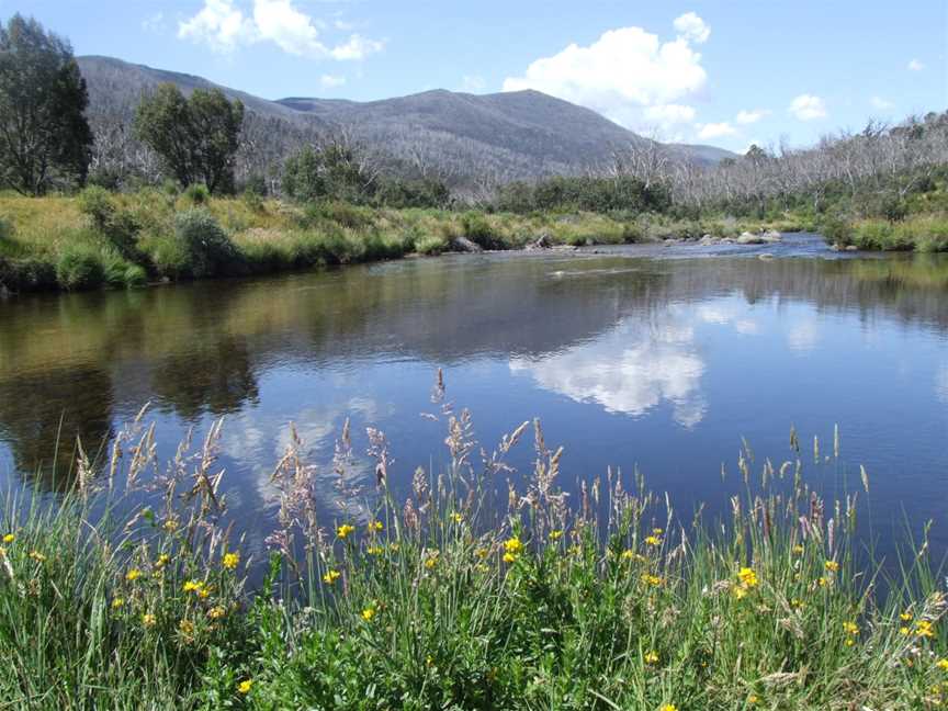 Thredbo River, Thredbo, NSW