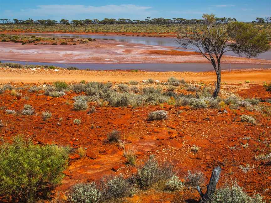 Lake Gairdner National Park, Wudinna, SA