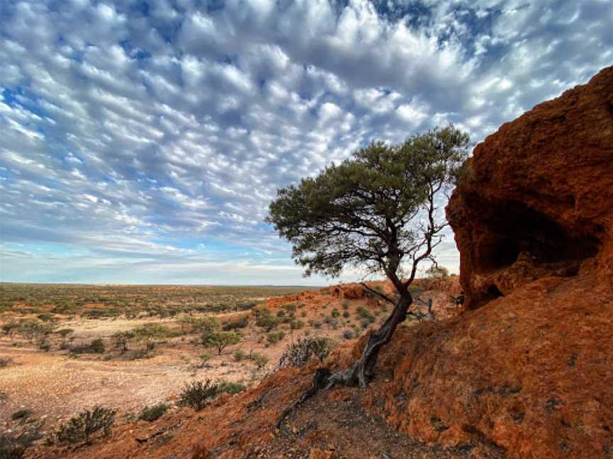 Wool Wagon Pathway, Geraldton, WA