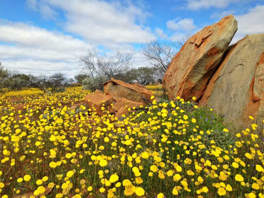 Wool Wagon Pathway, Geraldton, WA