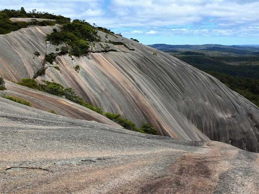 Bald Rock Trig lookout, Girraween, NSW