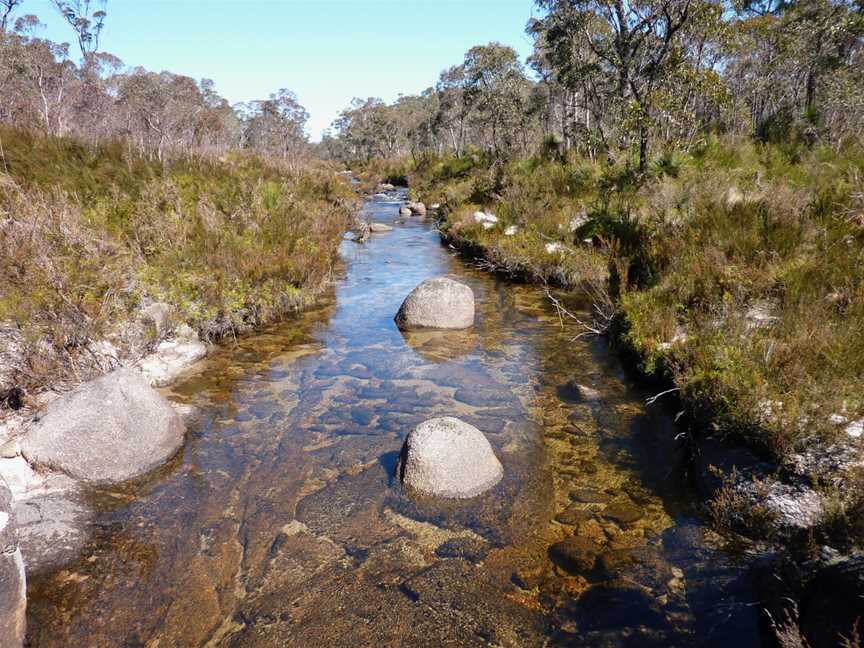 Gibraltar Range National Park, Gibraltar Range, NSW