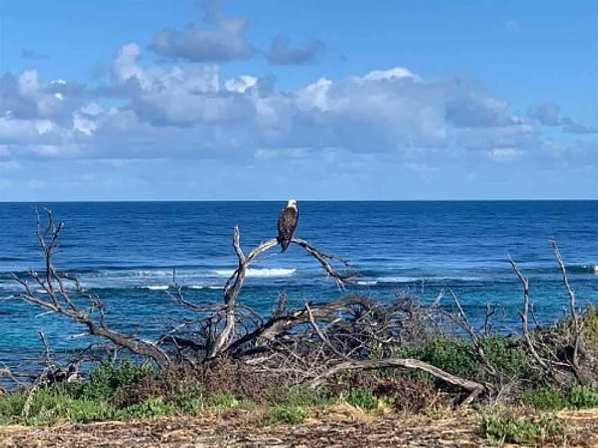 Horrocks Beach, Horrocks, WA