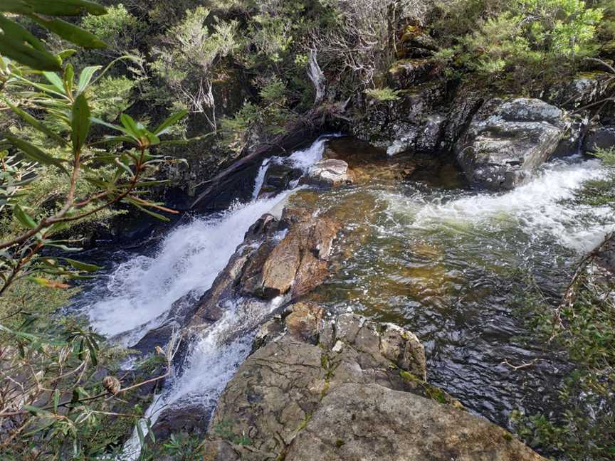 Gloucester Falls picnic area, Gloucester Tops, NSW