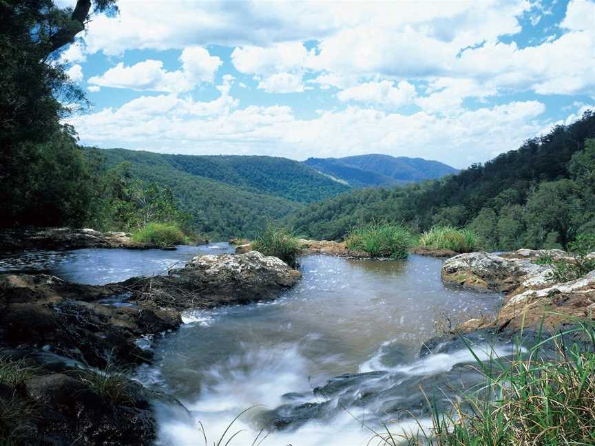 Springbrook Plateau, Springbrook National Park, Springbrook, QLD