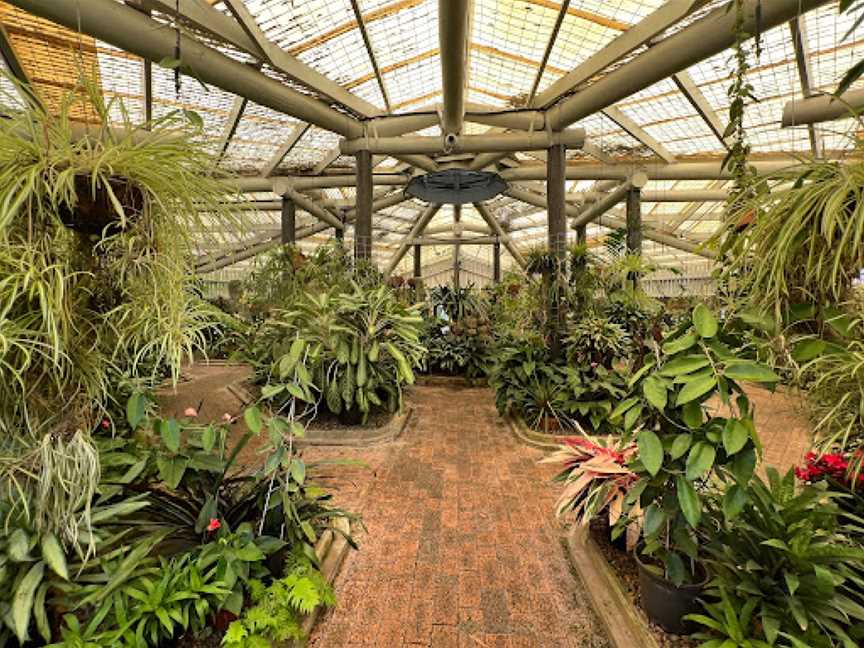 Queens Park - Orchid House, Mackay, QLD