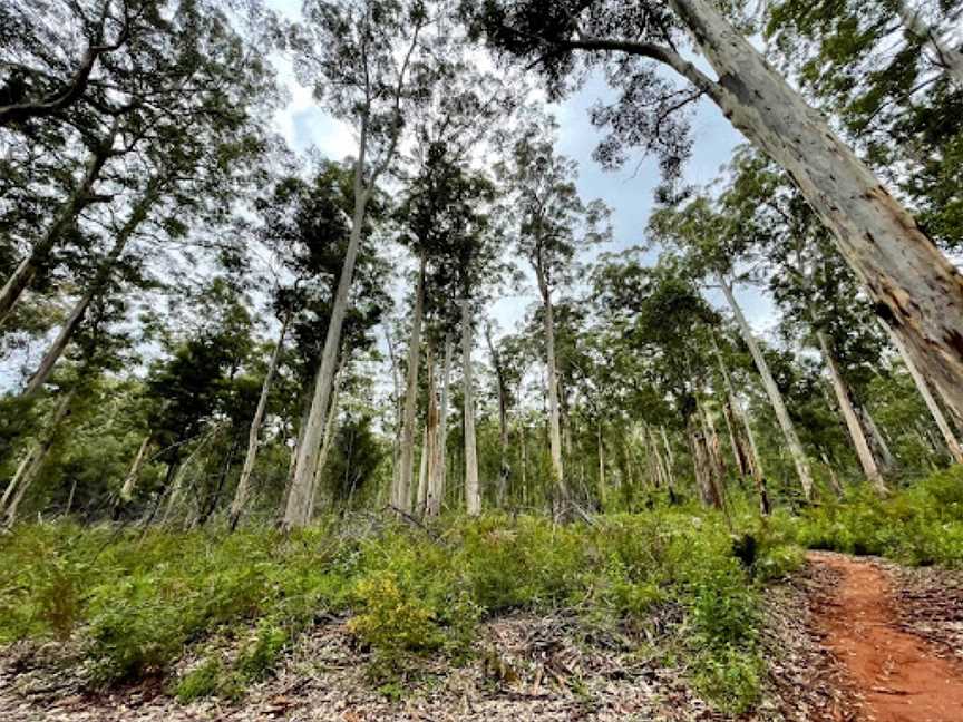 Four Aces, Manjimup, WA