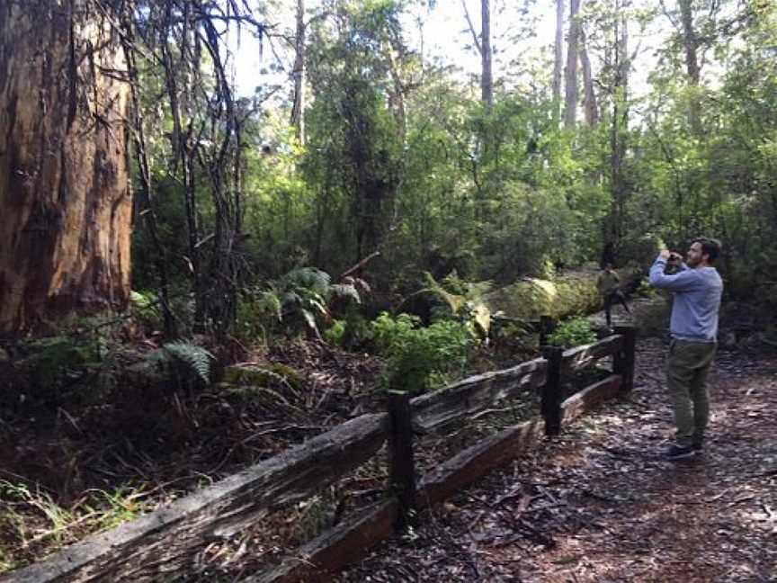 Four Aces, Manjimup, WA